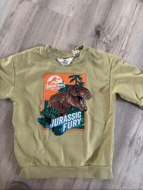 Universal Kids Jurassic Fury Graphic Sweatshirt - Olive Green & Orange